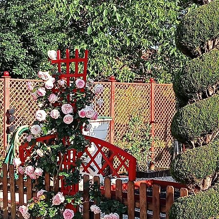 Une Pause Quelque Part Au Jardin Des Erables Et Des Niwakis Saint-Medard-de-Guizieres Buitenkant foto