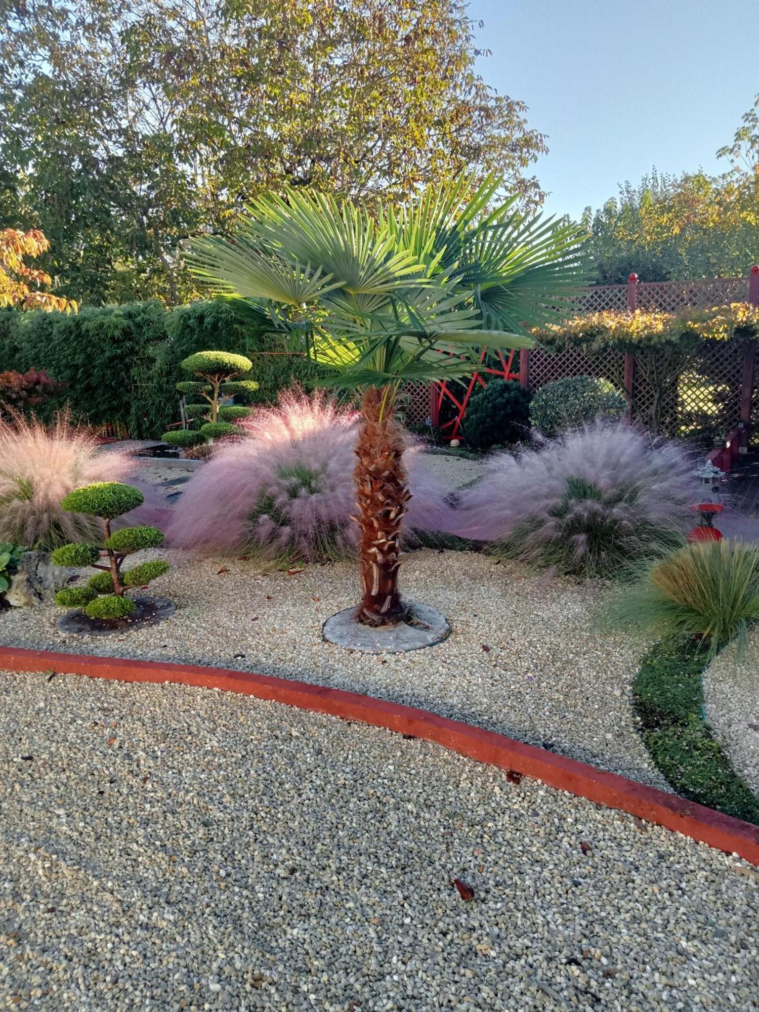 Une Pause Quelque Part Au Jardin Des Erables Et Des Niwakis Saint-Medard-de-Guizieres Buitenkant foto