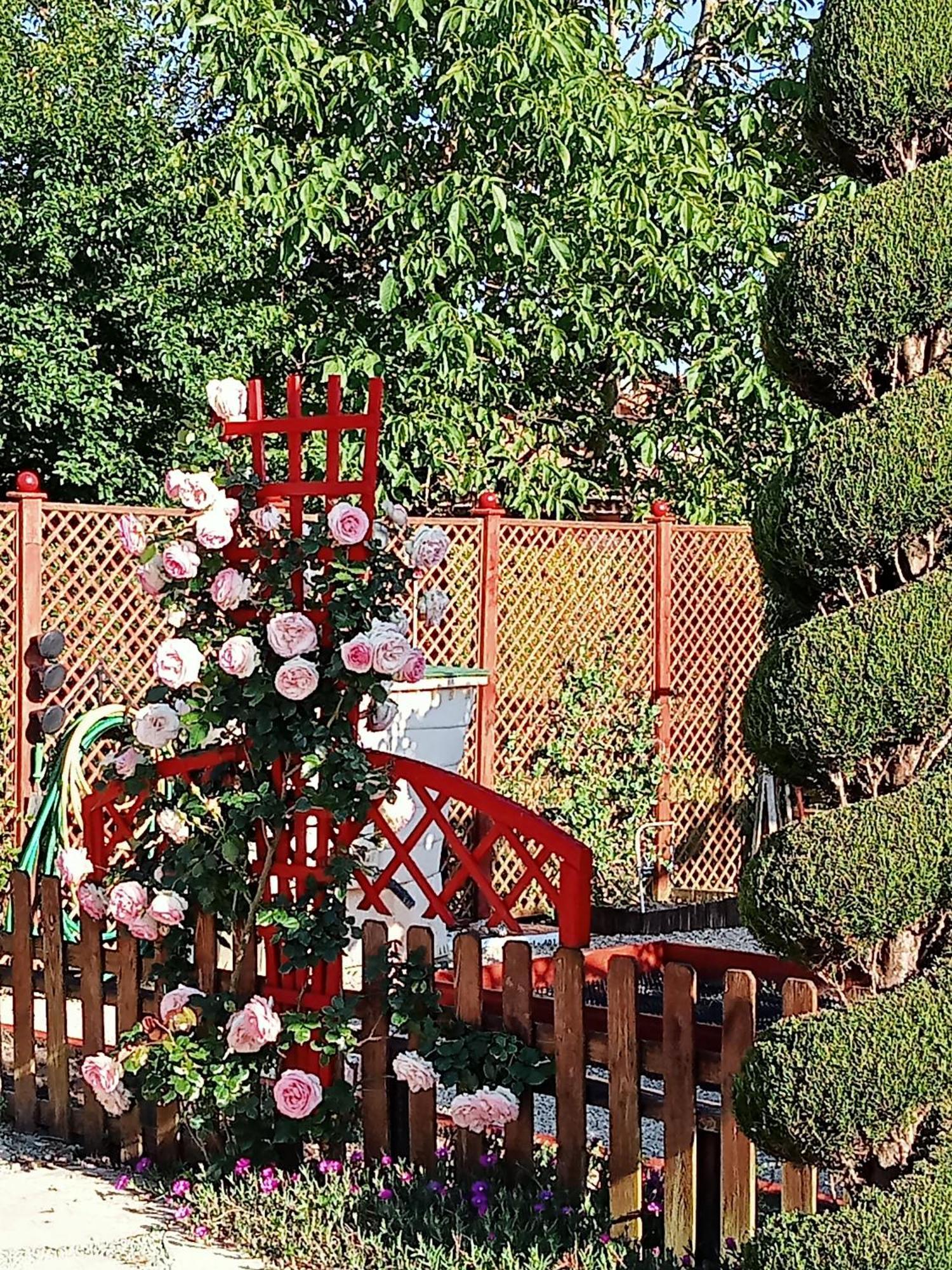 Une Pause Quelque Part Au Jardin Des Erables Et Des Niwakis Saint-Medard-de-Guizieres Buitenkant foto